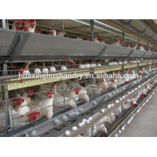 Chine bonne qualité prix bon marché nouvelle conception automatique H type fabricant de cage de poulet fabricant